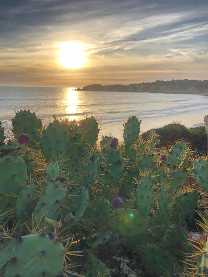 Appartamento Sol E Mar Bemposta Alvor Esterno foto